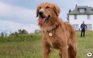 Esse filme vai te tocar profundamente