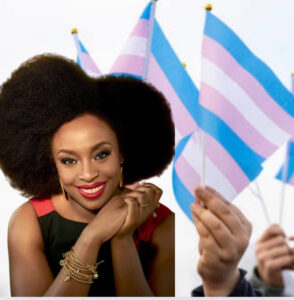 Chimamanda Ngozi Adichie está sendo chamada de transfóbica.