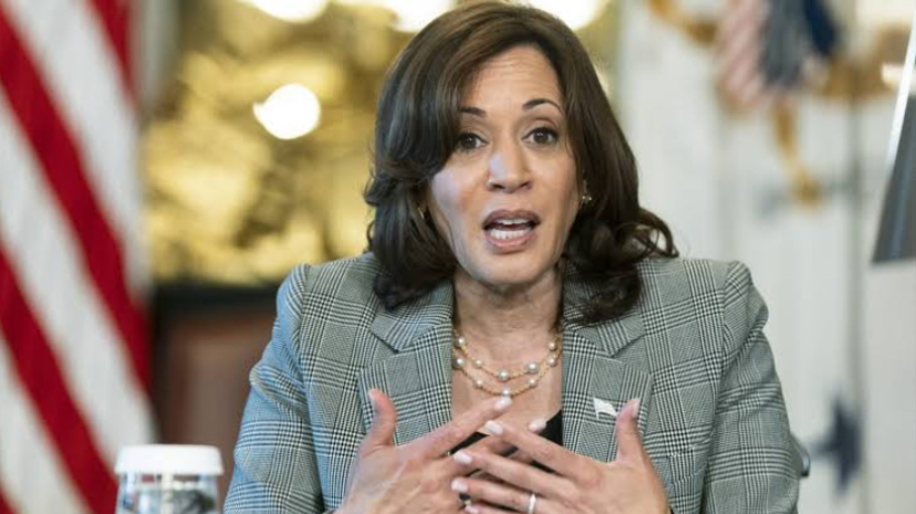 Kamala Harris Slaves